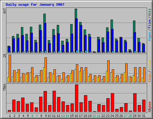 Daily usage for January 2007