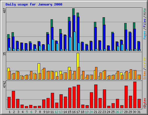 Daily usage for January 2008