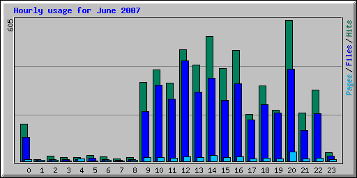 Hourly usage for June 2007